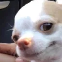 Friends of Friends Discord server icon