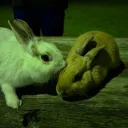 夜渡り集会所