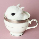 Discovery icon for guild invites Discord server