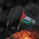 Free palestine ®  Discord Server Icon