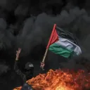 Free palestine®