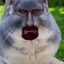 fuckass schizo bouncy castle Discord server icon