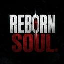 Reborn Soul Wishlist Now Discord Server Icon