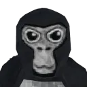 centt tag comp server