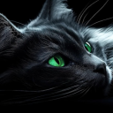 𝐖𝐀𝐑𝐑𝐈𝐎𝐑 𝐊𝐈𝐓𝐓𝐄𝐍𝐒