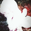 ʚ 𝐜𝐮𝐩𝐢𝐝𝐬 𝐯𝐨𝐢𝐝 ɞ Discord server icon