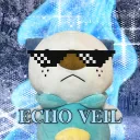 Echo Veil