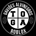 Gaviões alvinegros - CITY