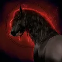 Dressage University