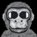 The Last Apes