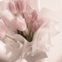 ‧₊˚ ☁⋅ reveriie 🌷༘⋆ Discord server icon