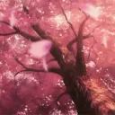 🌸ＳＡＫＵＲＡ