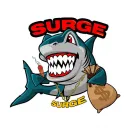 SURGE's Selections