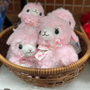 小羊與他的夥伴產地