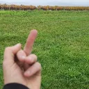 Grass Touchers NZ