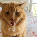 Bars Tab Discord server icon