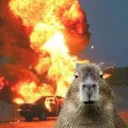 Project Capybara