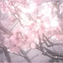 Back in blooms