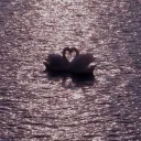 ✦ʚ♡𝓅𝒶𝓇𝒶𝒹𝒾𝓈𝑒♡ɞ✦