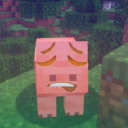 NUT SURF Discord server icon