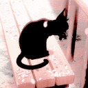meow! ᓚᘏᗢ social . guilds . active . giveaways . 16+