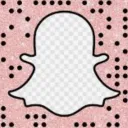 Snap service ☑'s icon