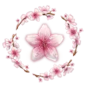Hana No Hikage 🌸