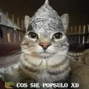 Przedszkole N3cr0manta