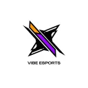 Vibe Esports International