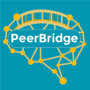 PeerBridge Discord server icon