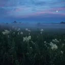ᴍᴇᴍᴏʀɪᴇs ᴍᴏᴅs