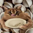 Warlock | Состав