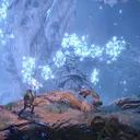 The Underdark