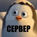 Пингвин 2014 Сервер (Official)
