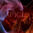 .𖥔 ݁ ˖╭ ┆SPICE survival show╰⊹ ࣪