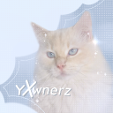 yxwner𝗓 夢﹒ emojis﹒ social﹒tag .ᐟ Discord server icon