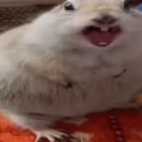 gg./ Miinkyy Discord server icon