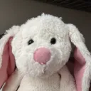 bnnyu