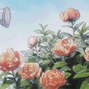 GardenZ 𖥔 ݁ ˖ ⭑