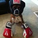 Nrg's Boxing gym
