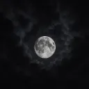 ~ 【𝗡𝗖 | 𝗡𝗶𝗴𝗵𝘁 𝗖𝗼𝗺𝗽𝗮𝗻𝘆】 ~ 🌑