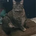 ROFLCOPTER