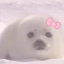 /seals ⚝