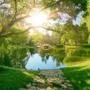 LIFE OF NATURE