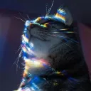 Discord Mess