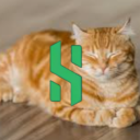 cat's stock icon