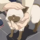 /kitties