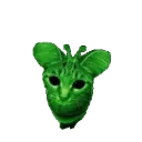 Sillycord