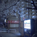 𝚋𝚛𝚒𝚊𝚗'𝚜 𝚙𝚊𝚛𝚝𝚢𝚑𝚘𝚞𝚜𝚎 | Social • Gaming • VCS • Giveaways Discord server icon