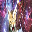 JUST CHATTEN XD Discord server icon